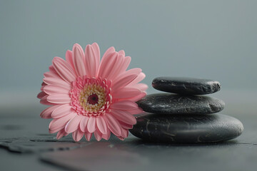 Massage stones and a pink flower arranged on a table