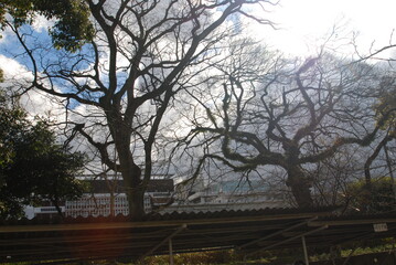 学校、四国、愛媛、お堀、門