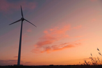 Obraz premium Wind farm on background of the sunset. Wind turbine blades