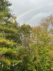 Regenbogen
