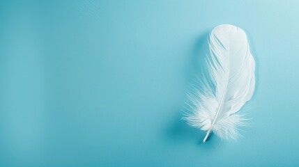 The image shows a close-up view of a single white feather against a blue background.