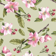 Branch of apple or other spring blossom tree seamless pattern, flowers and buds. Springtime blooming plant. Hand drawn botanical clipart for fabric, wrapping, wallpaper print Isolated green background