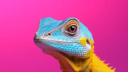 Schilderijen op glas a close up of a colorful lizard © Mihaela