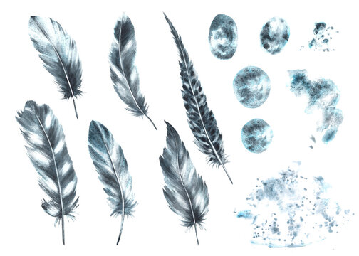 Monochrome bird feathers set with watercolor grey, black granulating splashes, stains, brush stroke. Real wings. Hand drawn illustration. Clipart for logo, print, sticker. Isolated white background