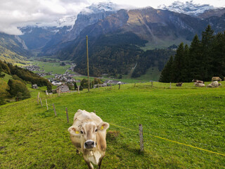 Fototapeta na wymiar Drone view at the valley of Engelberg in the Swiss alps