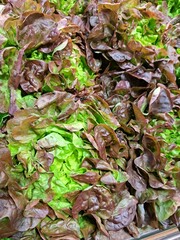 Salade