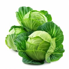 Obraz premium cabbages isolated on white background