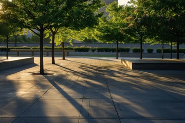A quiet square with neatly aligned trees casts long shadows in the calming light of the early morning or late evening
