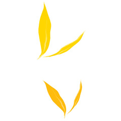 illustration of a leaf