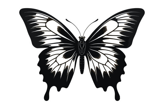 Butterfly tattoo silhouette design, Graphic black icon of butterfly isolated on white background 