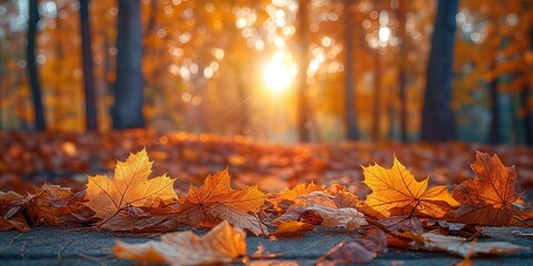 autumn foliage leaves on ground with light flare at outdoor park, abstract background, Generative Ai	
