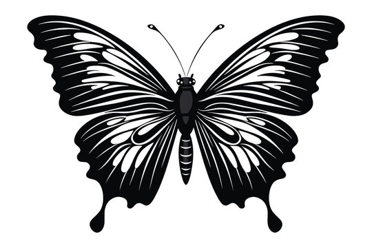 Butterfly tattoo silhouette design, Graphic black icon of butterfly isolated on white background 