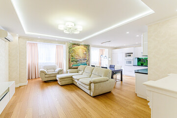 standard interior apartment. living room with sofa