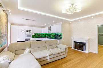 standard interior apartment. living room with sofa