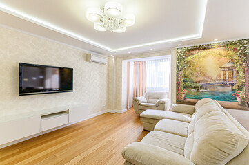 standard interior apartment. living room with sofa