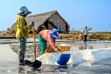 Farmers are harvesting salt in Can Gio district, a suburban district of Ho Chi Minh City, Vietnam.