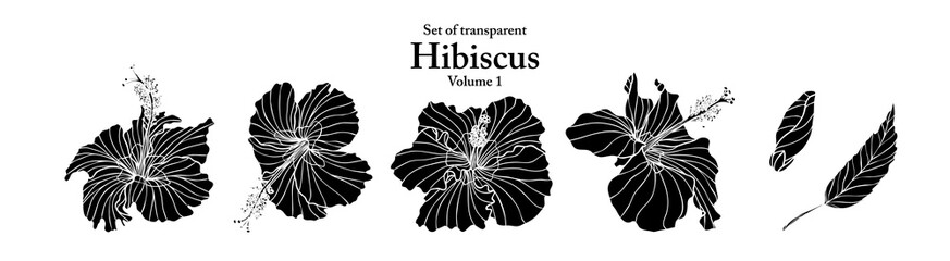 A series of isolated flower in cute hand drawn style. Silhouette hibiscus on transparent background. Drawing of floral elements for coloring book or fragrance design. Volume 1. © Plawarn