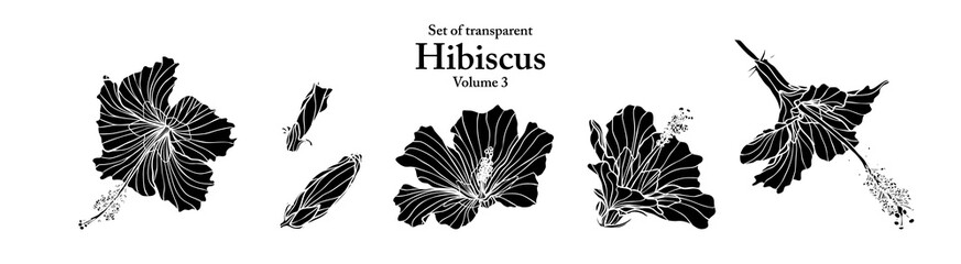 A series of isolated flower in cute hand drawn style. Silhouette hibiscus on transparent background. Drawing of floral elements for coloring book or fragrance design. Volume 3. © Plawarn