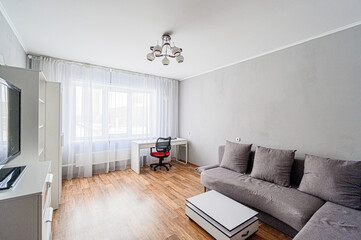 standard interior apartment. living room with sofa