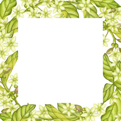 Avocado square frame, green leaves, flowers. Botanical vegetable clipart. Hand drawn watercolor illustration isolated on white background. Template for postcard, print packaging