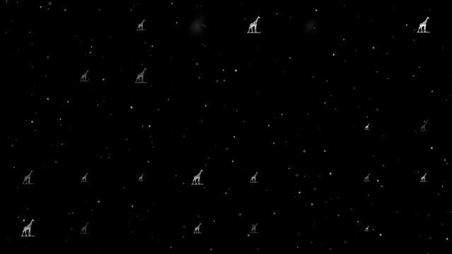 Template animation of evenly spaced wild giraffe symbols of different sizes and opacity. Animation of transparency and size. Seamless looped 4k animation on black background with stars