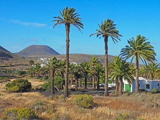 Fototapeta na wymiar Haria auf Lanzarote - Dorf mit vielen Palmen