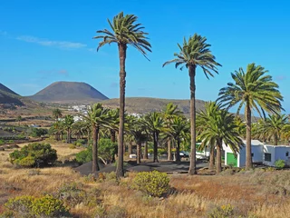 Tischdecke Haria auf Lanzarote - Dorf mit vielen Palmen © Ina Ludwig