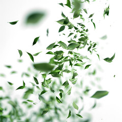 Leaves swirling around isolated on transparent png.
