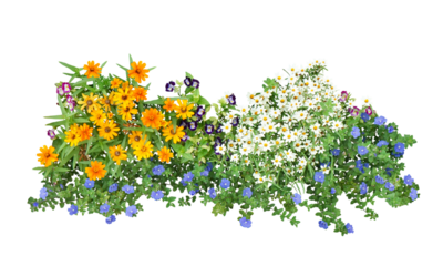 寄せ植え　9月撮影