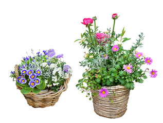 寄せ植え　2月撮影