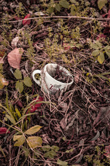 tea leaves on the ground