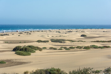 Sandy beach of Maspalomas with a view of the sea on Gran Canaria in Spain
