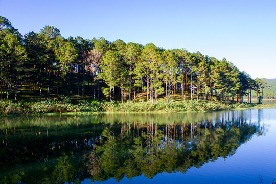 Beautiful Landscape At Tuyen Lam Lake In The Morning, Da Lat, Vietnam.