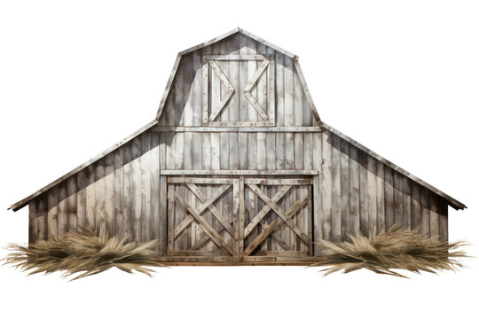 The Forgotten Barn: Nature Reclaimed.