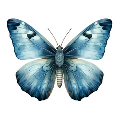 blue moth clipart on a white background сreated with Generative Ai