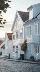 the quaint streets of its historical center, admiring the elegant white houses that epitomize Norway's cultural heritage.