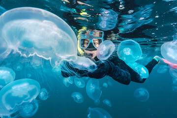 A couple of people are swimming in the ocean with jellyfish surrounding them
