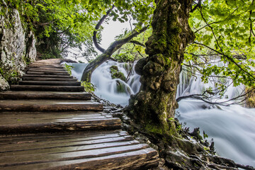 Nationalpark Plitvicer Seen Croatia - obrazy, fototapety, plakaty