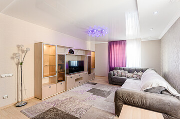 standard interior apartment. living room with sofa