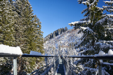 Sattel, Swiss Alps. A snow-covered suspension bridge in a wintry landscape embodies the harmony between human ingenuity and the beauty of nature.
