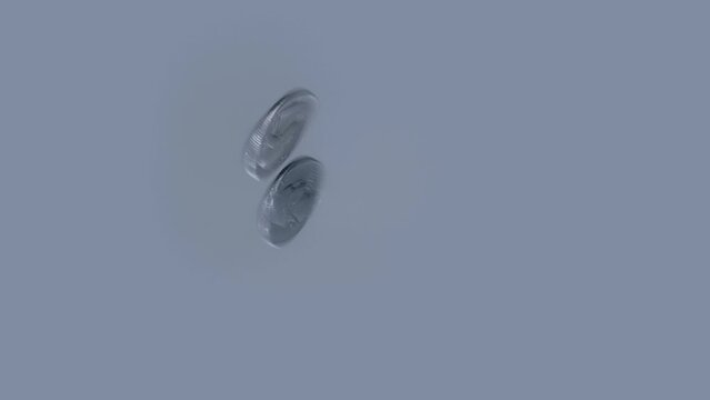 A quarter dollar coin twirl on a mirror surface and sparkles in the rays of light. Closeup. Macro. Slow mo, slo mo, slow motion, high speed camera, 240fps, 250fps