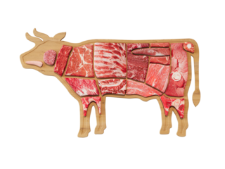 Butcher diagram Cow. Meat cuts. Diagrams for butcher shop. Scheme of beef.
