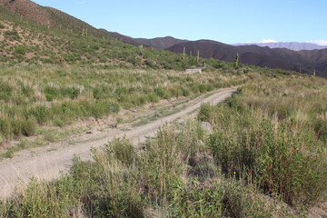 Beautiful mountain road in green landscape in northwest Argentina