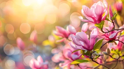 Zelfklevend Fotobehang Beautiful Magnolia in full bloom  © Ziyan