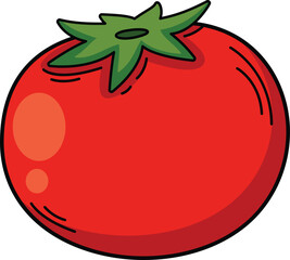 illustration of colorful tomato outline white on background vector