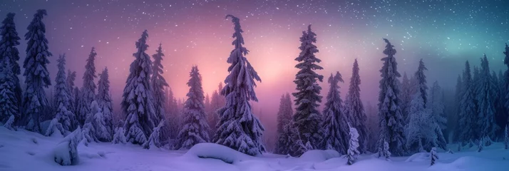 Gordijnen Beautiful aurora northern lights in night sky with snow forest in winter. © rabbit75_fot