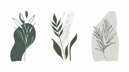 Modern illustration of tropical foliage line art. Abstract Plant Art design for print, cover, wallpaper. Minimal and natural wall art.