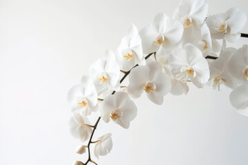 Naklejka na ściany i meble Black funeral ribbon and white orchids flowers on white background