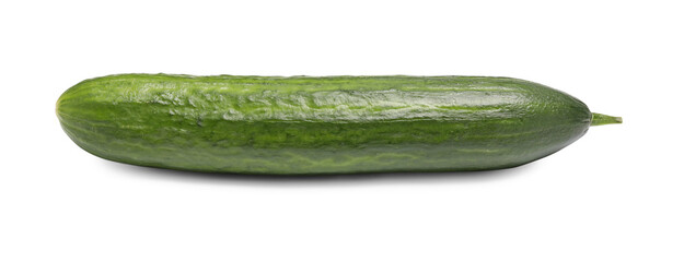 One long fresh cucumber isolated on white