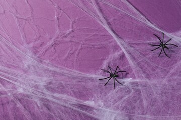Cobweb and spiders on violet background, top view